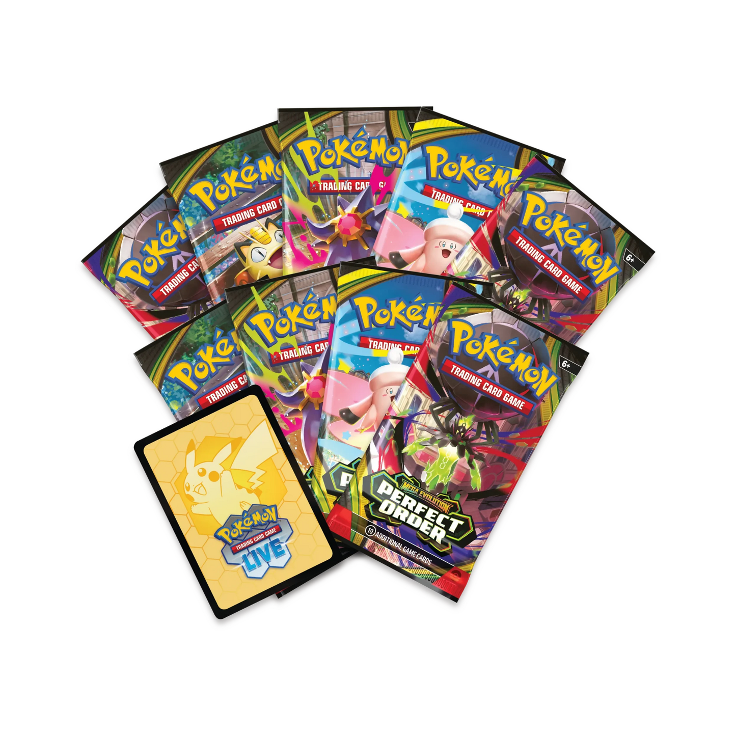 Perfect Order Elite Trainer Box