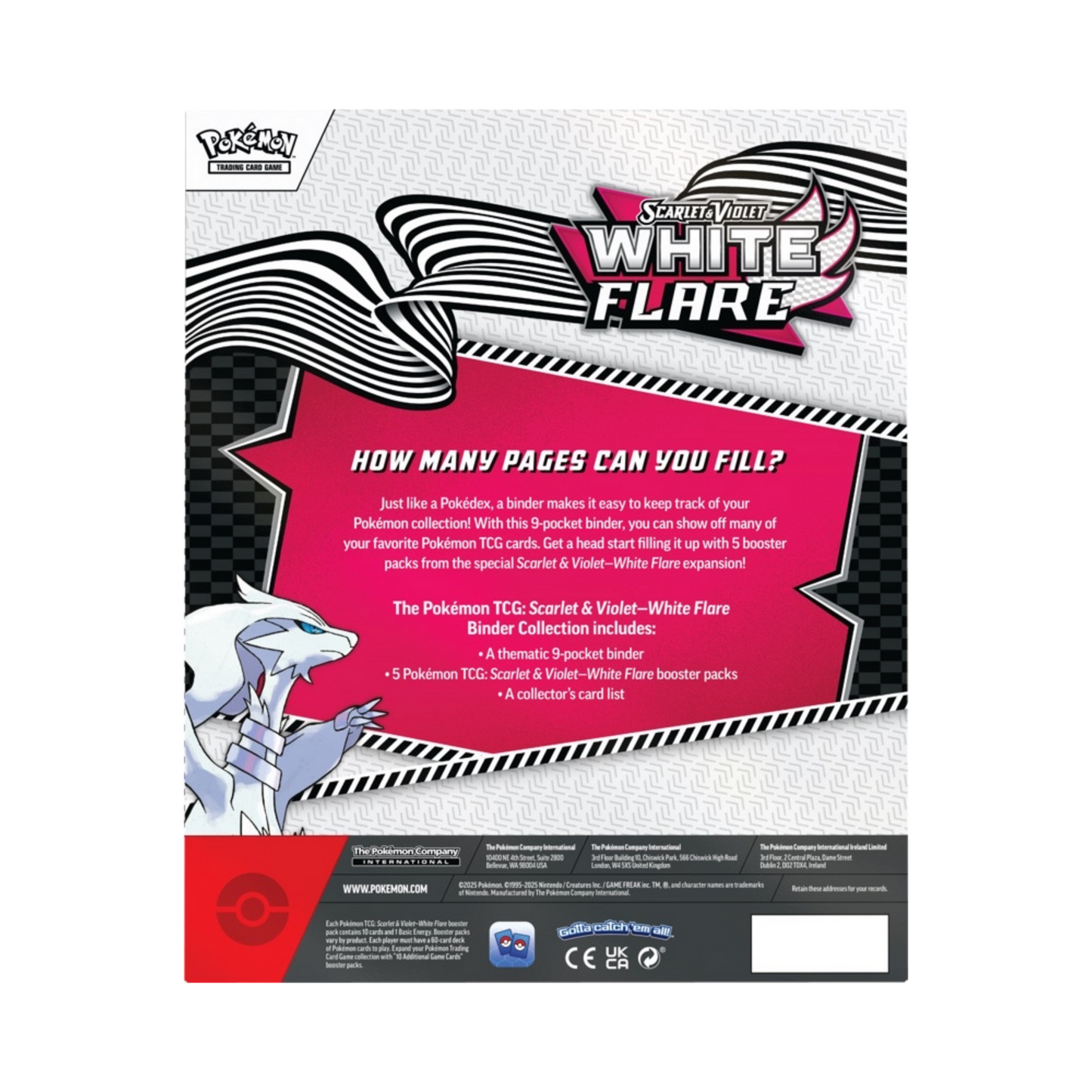 White Flare Binder Collection